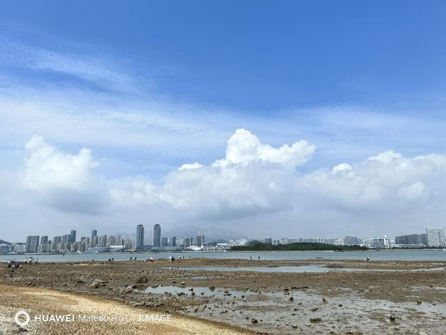 唐岛湾滨海公园-观景台旅行图片 1