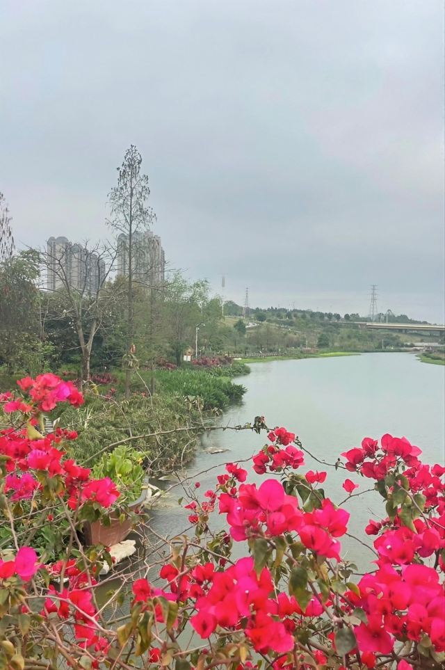 那考河湿地公园旅行图片 7