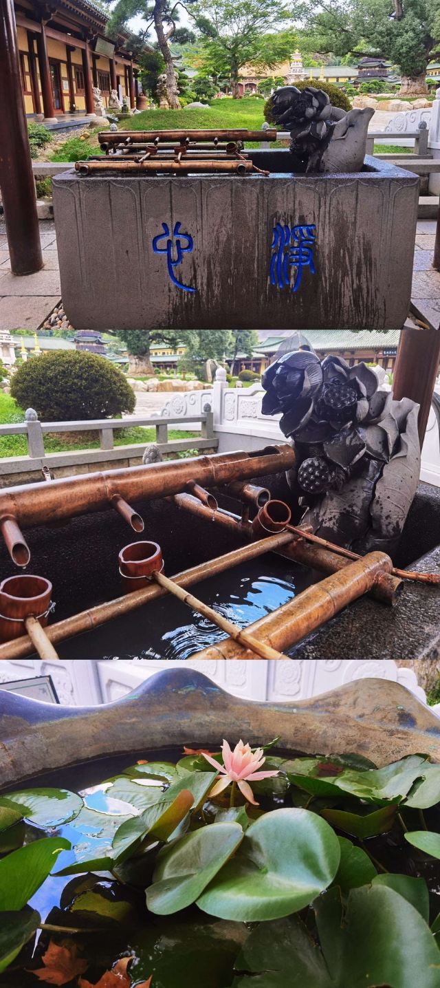 东林寺旅行图片 3