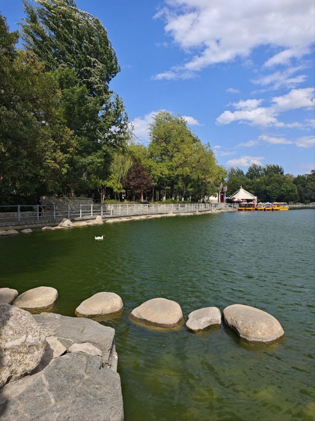 莲湖公园旅行图片 3