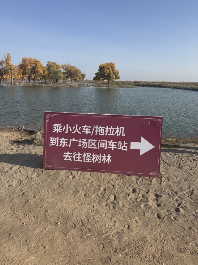 黑水城遗址(暂停开放)旅行图片 1