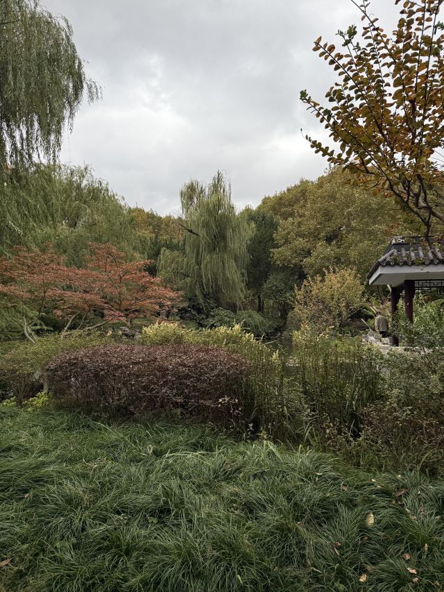 闸北公园旅行图片 5