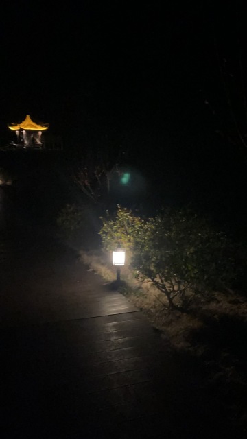 路西空中茶园