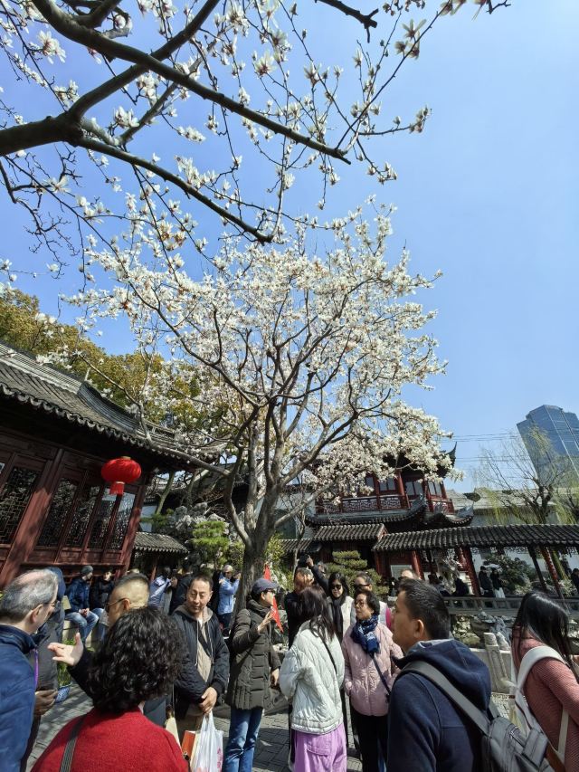 上海豫园旅行图片 2