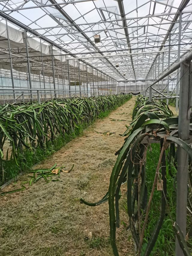 上饶云谷田园生态小镇旅行图片 2