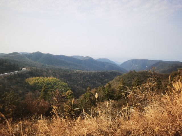 太浮山旅行图片 3