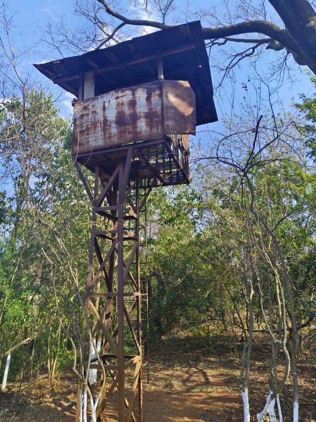 石城公园旅行图片 6