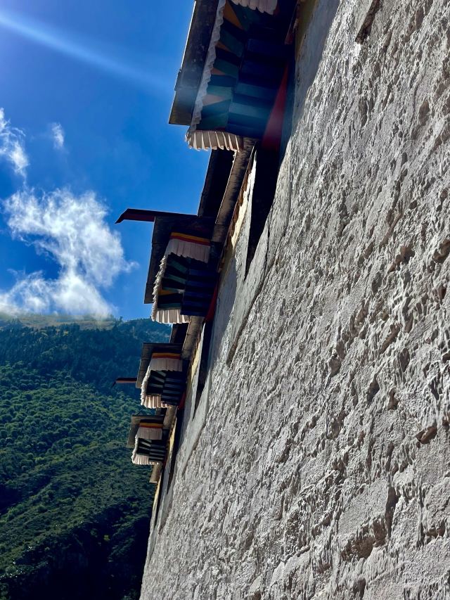 达修寺旅行图片 2