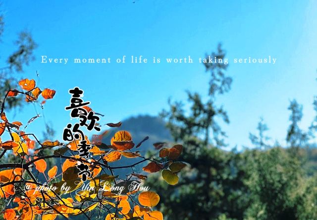 百望山森林公园旅行图片 1