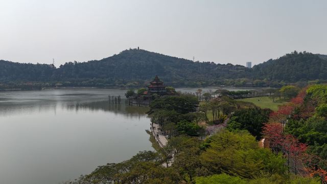 顺峰山公园旅行图片 4