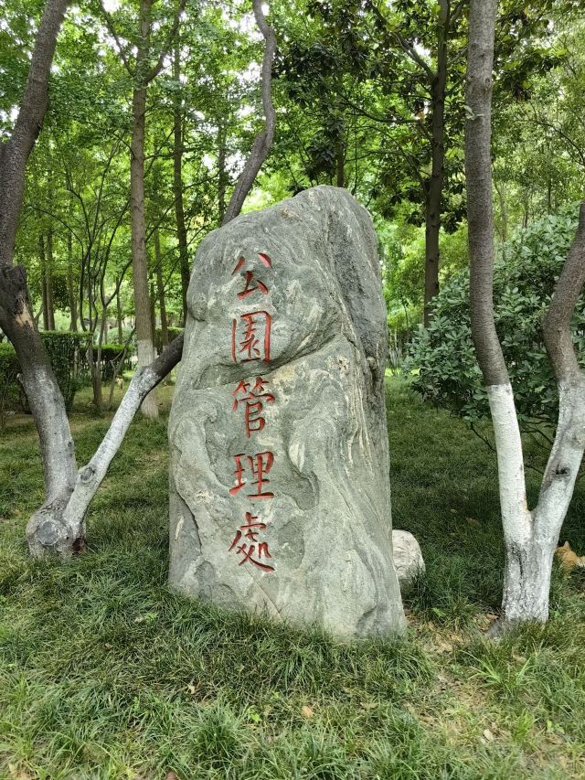 丰庆公园旅行图片 13