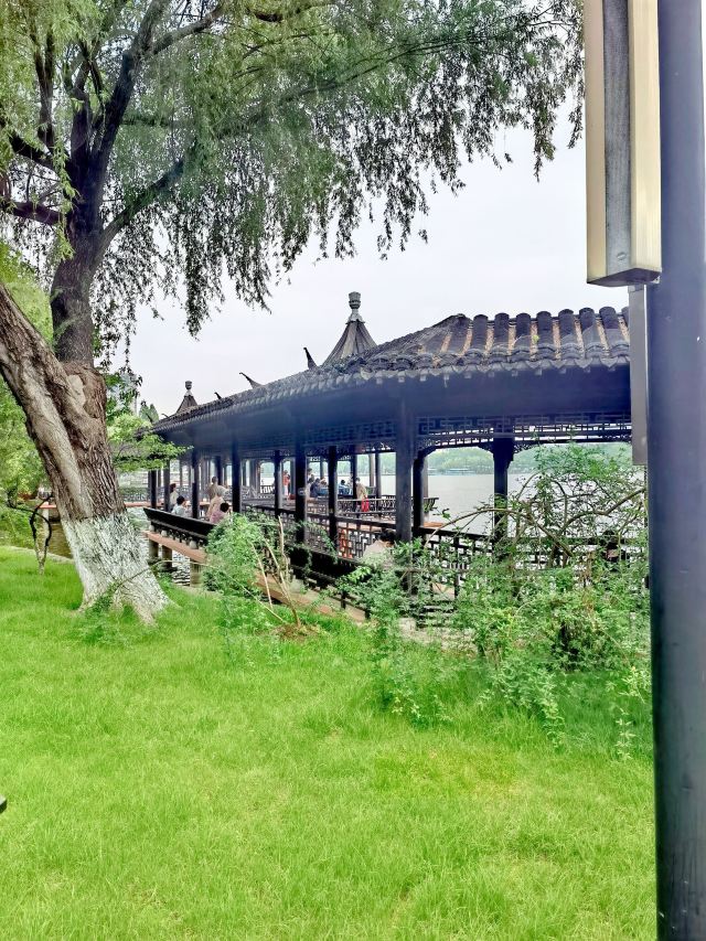 莫愁湖公园旅行图片 2