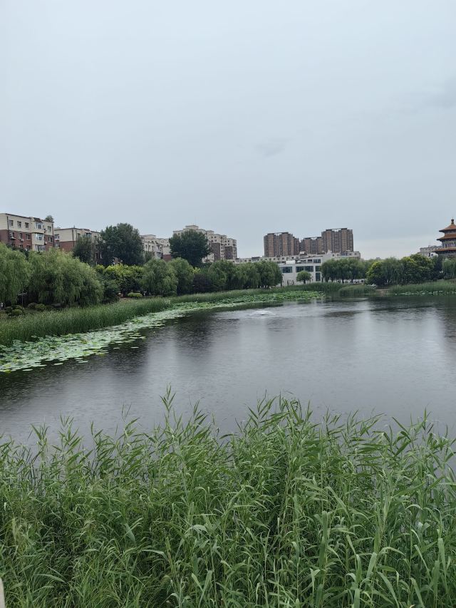 劳动公园旅行图片 11