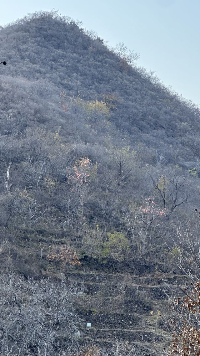 水峪村红叶栈道旅行图片 3