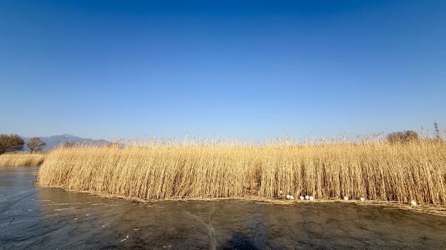 野鸭湖国家湿地公园旅行图片 5