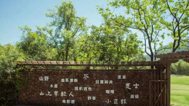 溪禾山铁观音文化园旅行图片 4