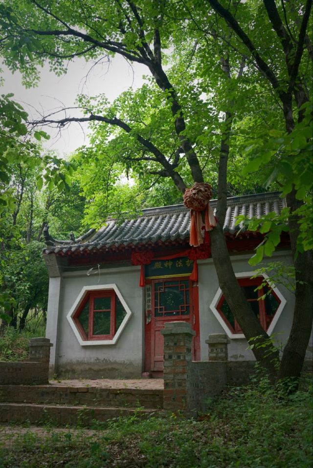慈觉禅寺旅行图片 3