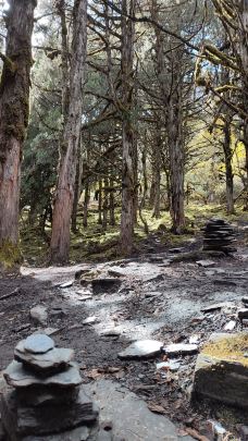 四姑娘山长坪沟景区-幺妹峰-小金-大头happy