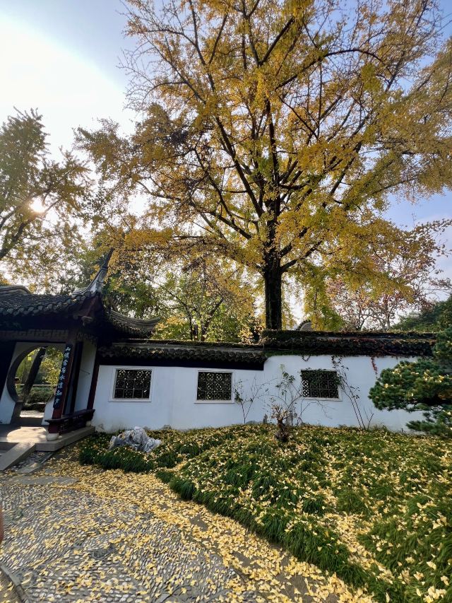 水绘园旅行图片 3