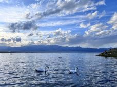 克勒涌珠-博乐-🐰bro