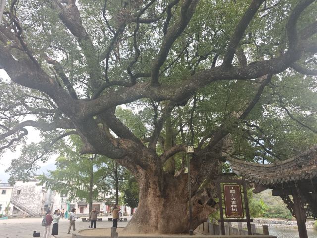 铁山寺国家森林公园旅行图片 1