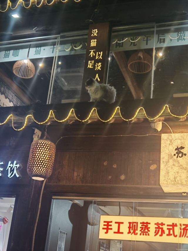 苏州市枫桥风景名胜区旅行图片 2