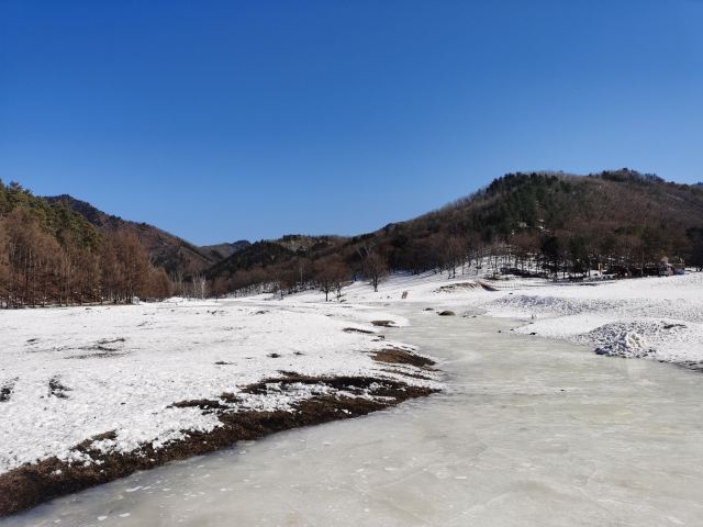飞泷金山鹿苑旅行图片 4