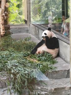 熊猫馆-溧阳-红色的人