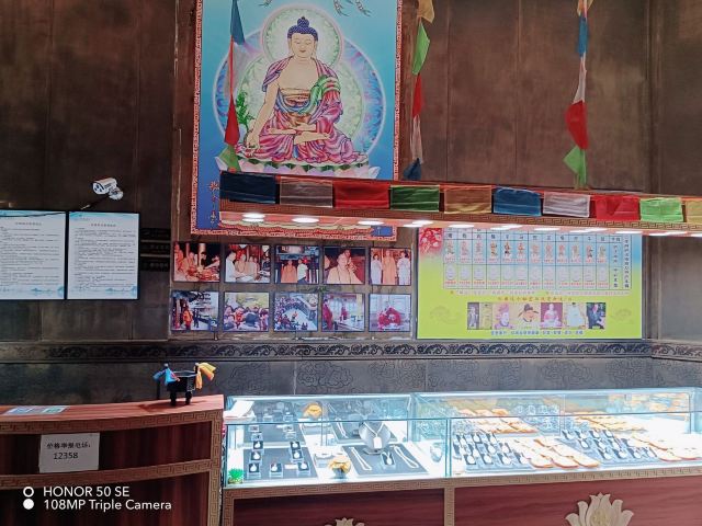日塔旅行图片 10