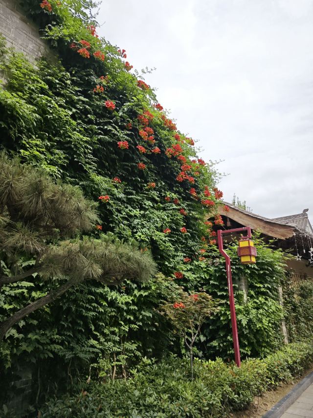 天水古城旅行图片 1