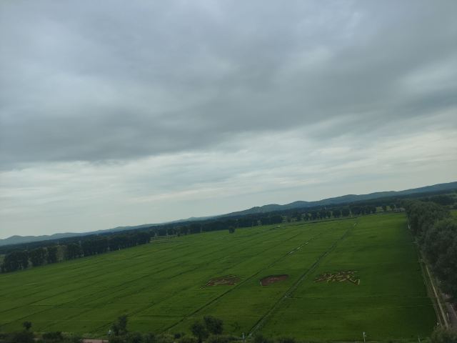 蒙望敖包山稻田公园旅行图片 4