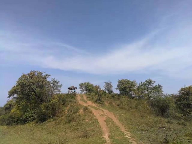 富县秦直道景区旅行图片 6