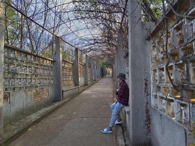 石城公园旅行图片 14