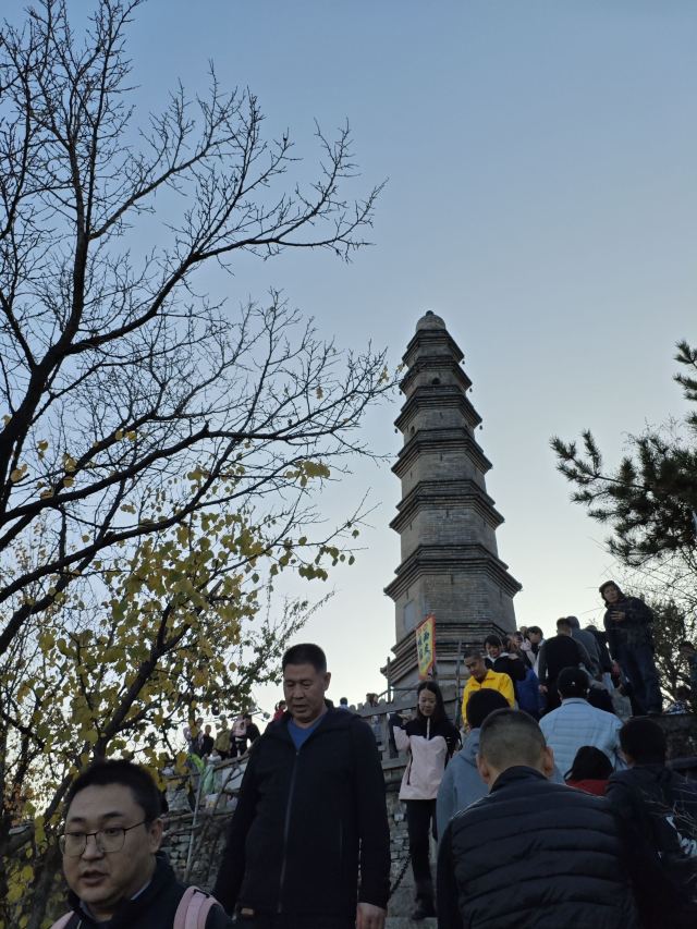 崛围山旅行图片 1