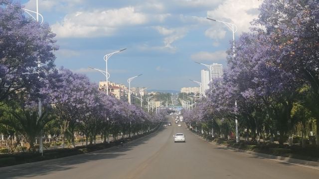 宁湖公园旅行图片 4