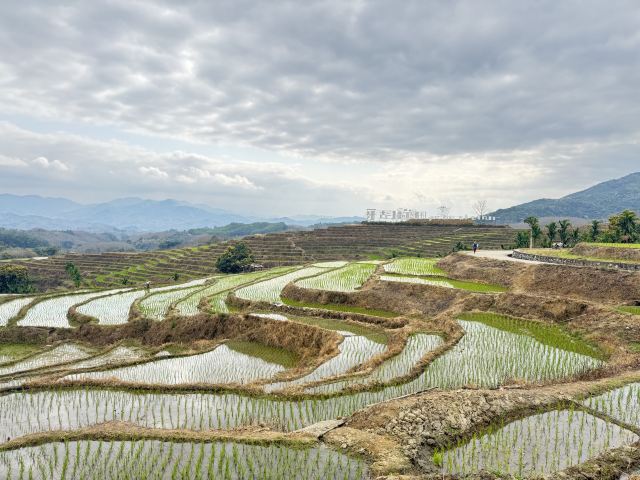 牙胡梯田景区旅行图片 6