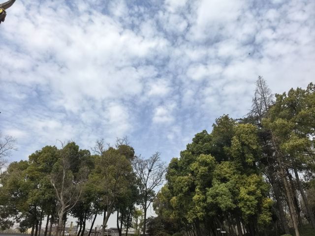 瓜洲古渡公园旅行图片 4