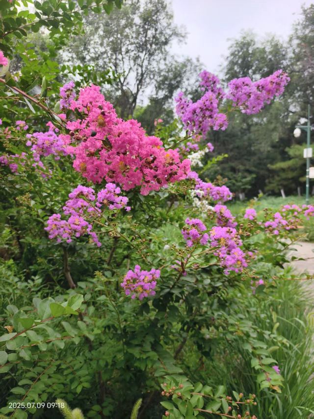 老山城市休闲公园旅行图片 15