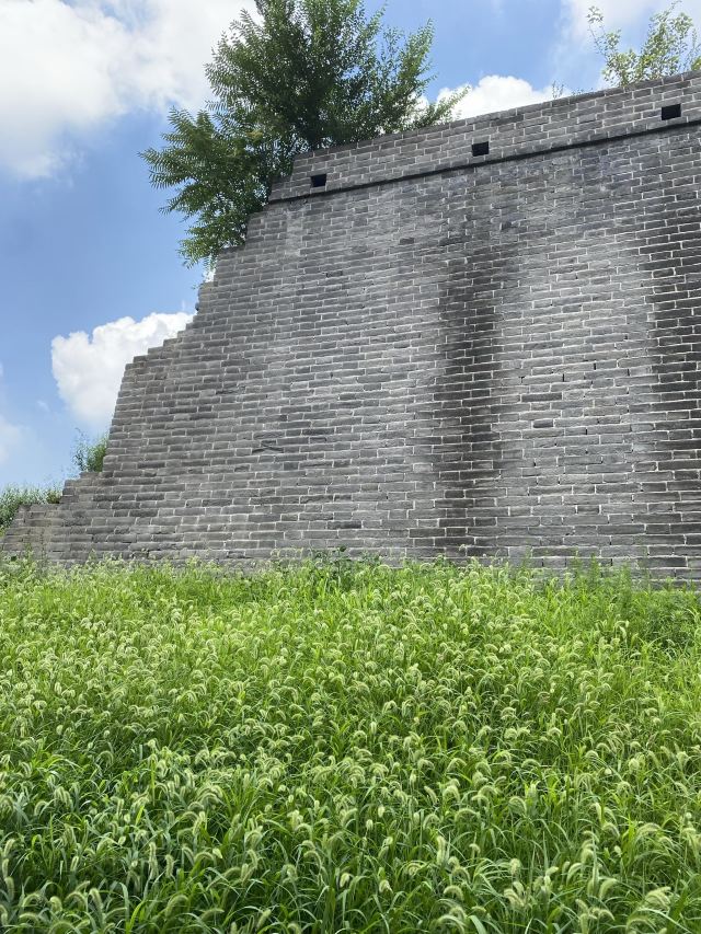 辽阳明城墙遗址公园旅行图片 1