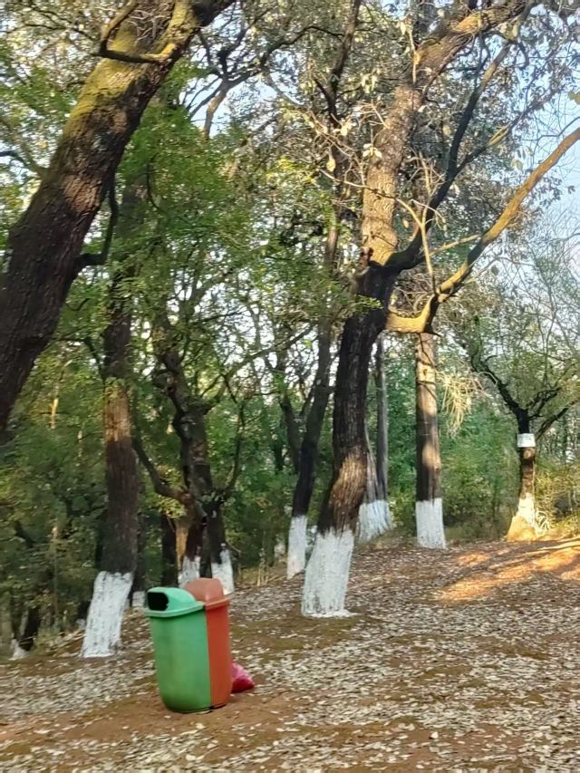 玉溪九龙池古建筑群-九龙宫旅行图片 2