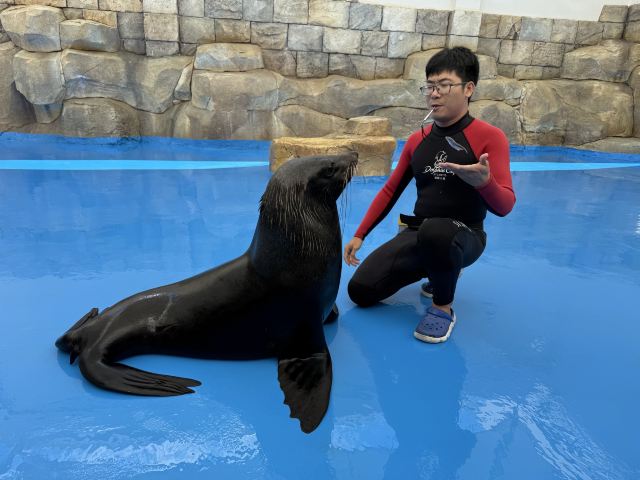 三亚亚特兰蒂斯景区旅行图片 1