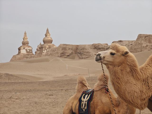 黑水城遗址(暂停开放)旅行图片 3