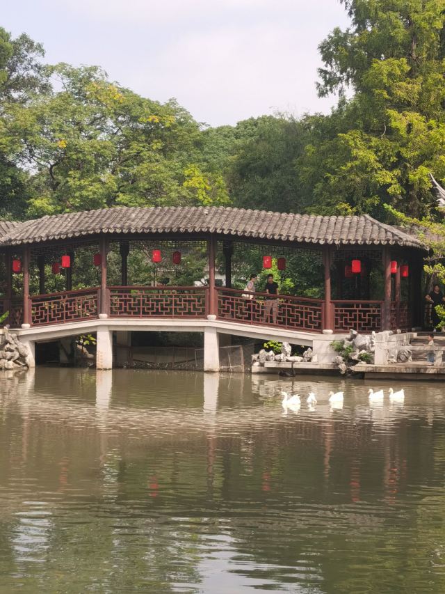啬园旅行图片 4