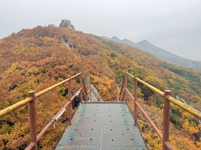 朱雀山国家森林公园旅行图片 3