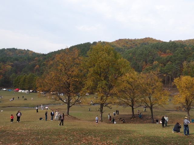 飞泷金山鹿苑旅行图片 2