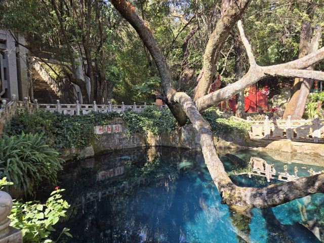 蝴蝶泉旅行图片 3