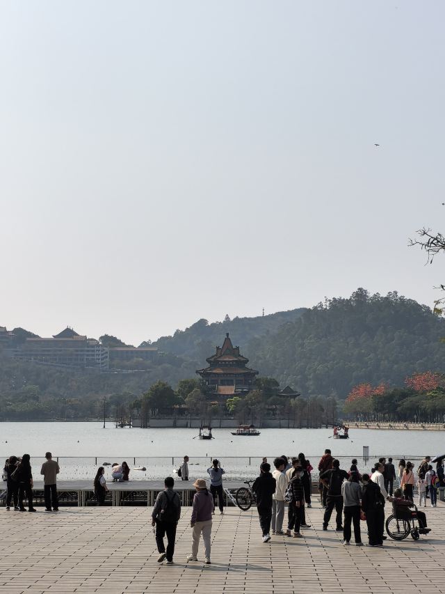 顺峰山公园旅行图片 1