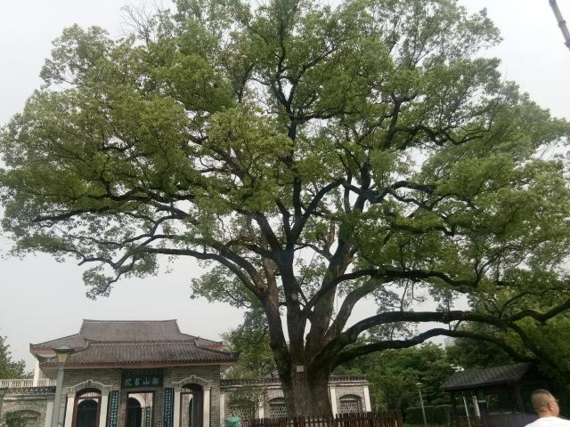 东洲岛旅行图片 2