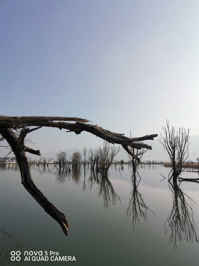 黄龙潭公园旅行图片 7