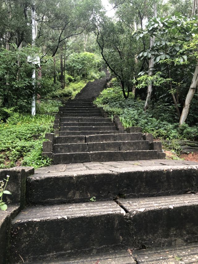 南山公园旅行图片 2